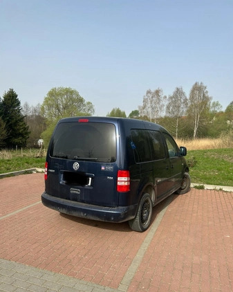 Volkswagen Caddy cena 16900 przebieg: 179000, rok produkcji 2011 z Pleszew małe 16